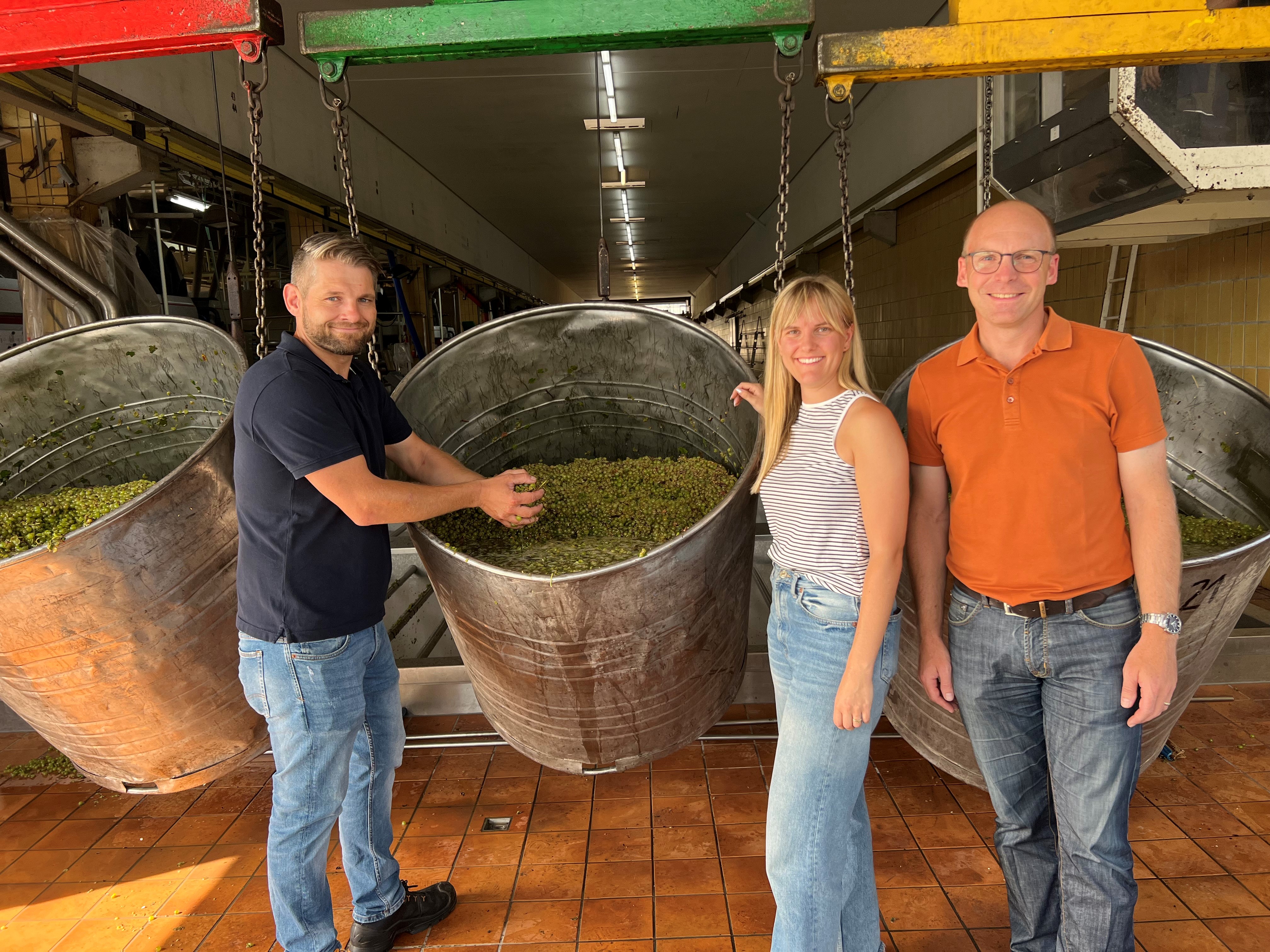 Sonnenwinzer-Start in die Weinlese 2024 am 03. Sept. 2024