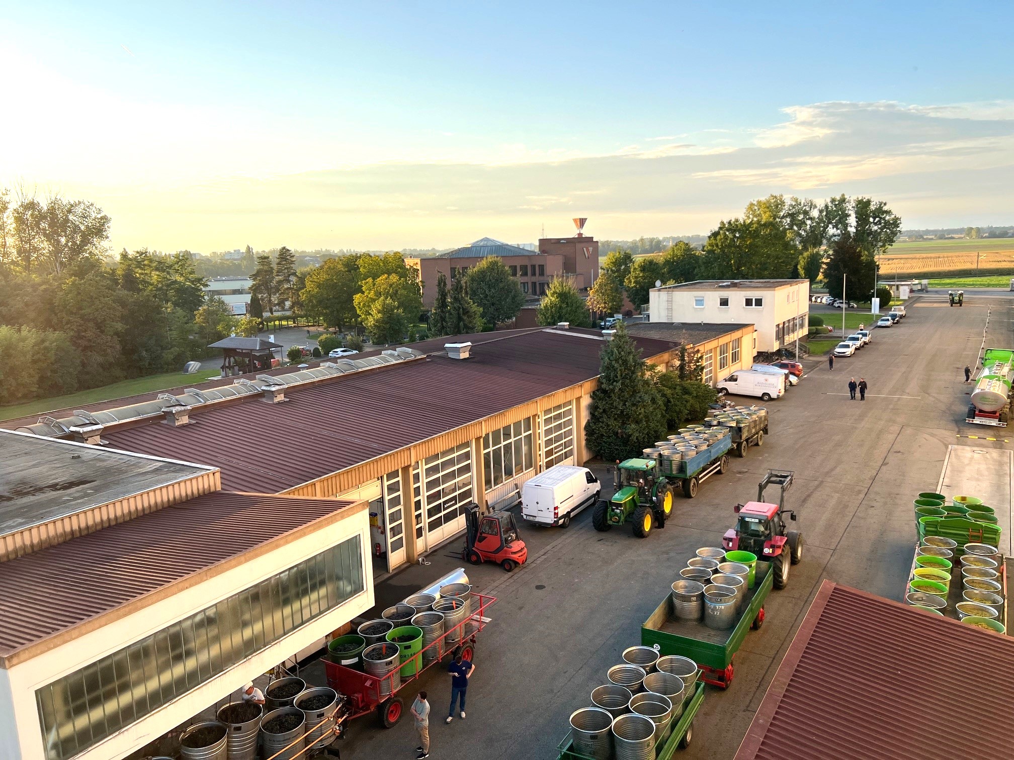 Badischer Winzerkeller und die Winzergenossenschaften Kürnbach und Sulzfeld gehen in Zukunft gemeinsame Wege