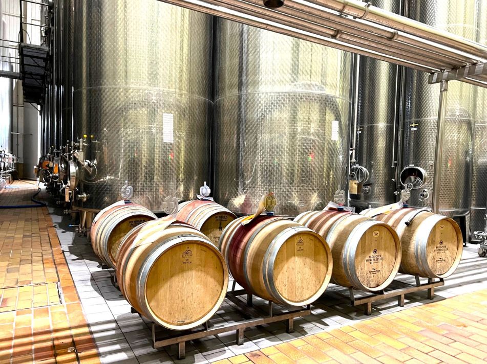 Badischer Winzerkeller hat die Weinlese 2023 im Keller